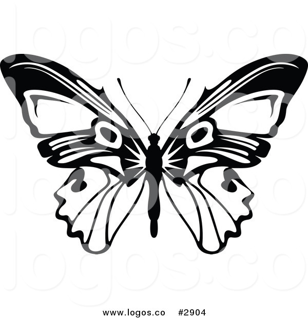 600x620 Butterfly Clip Art Black And White Thewealthbuilding