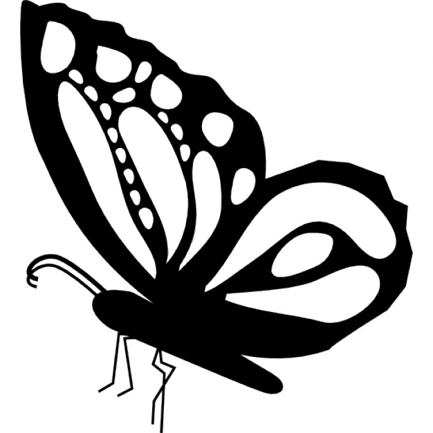 626x626 Monarch Butterfly Clipart Sideways