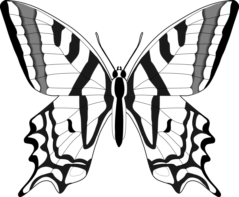 830x685 Butterfly Cliparts Black 185250