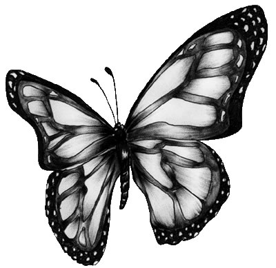 400x389 Butterfly Cliparts Black 185261