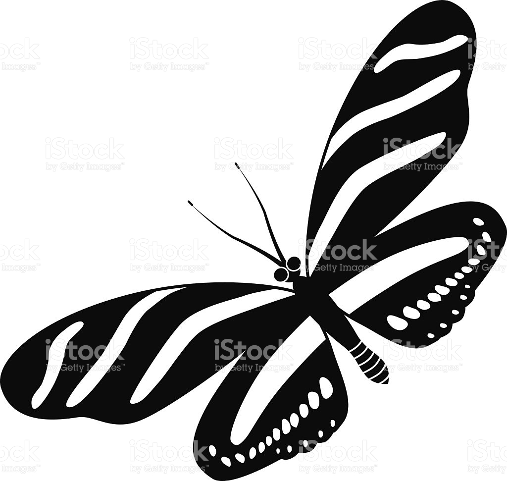 1024x971 Zebra Longwing Butterfly Clipart