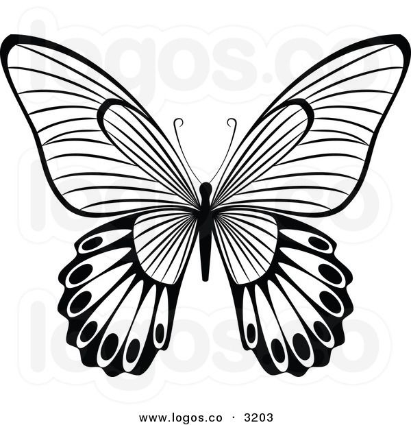 600x620 Butterfly Clipart Growth