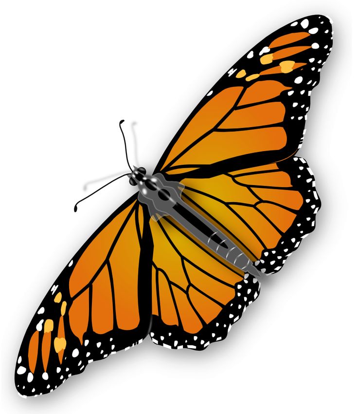 736x850 97 Best Kids Butterfly Printables, Crafts, Coloring Pages, Clip