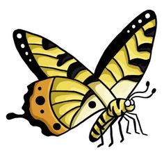 236x236 Butterfly Template Blank Butterfly Clip Art Butterflies