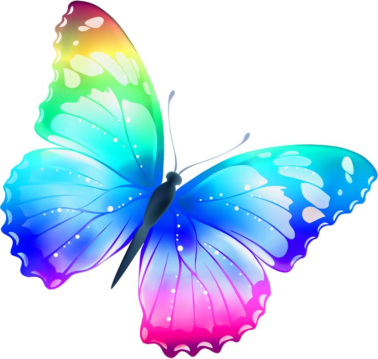 736x699 Butterfly And Clip Art Clipart Panda