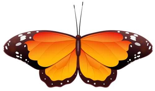 500x294 Butterfly Clip Art Photos Vector Clipart Royalty Free Images 1
