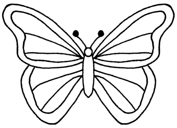600x436 Butterfly Clipart Outline Png