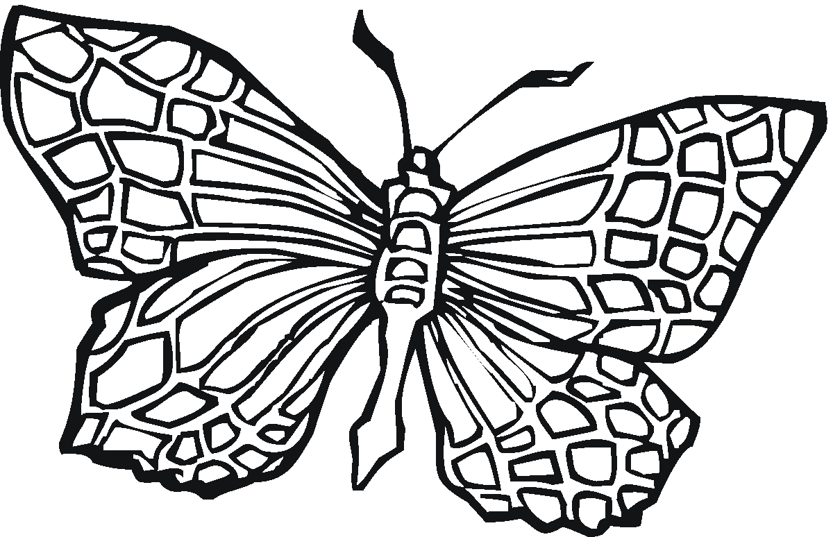 1200x774 Butterfly Coloring Pages Butterfly Coloring Pages For Kids