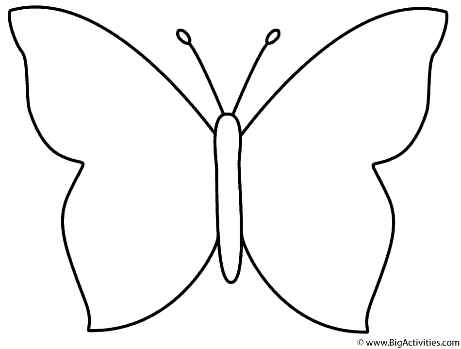 950x719 Simple Butterfly
