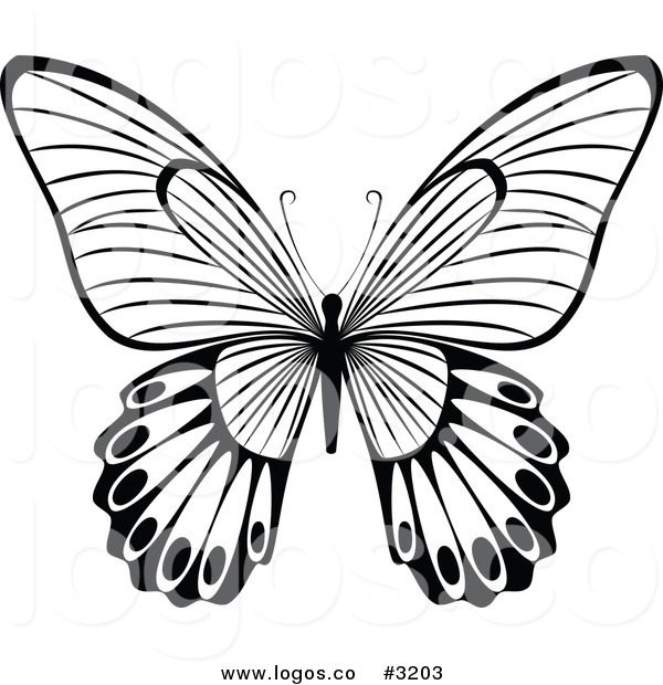 600x620 Graphics For Black White Butterfly Graphics