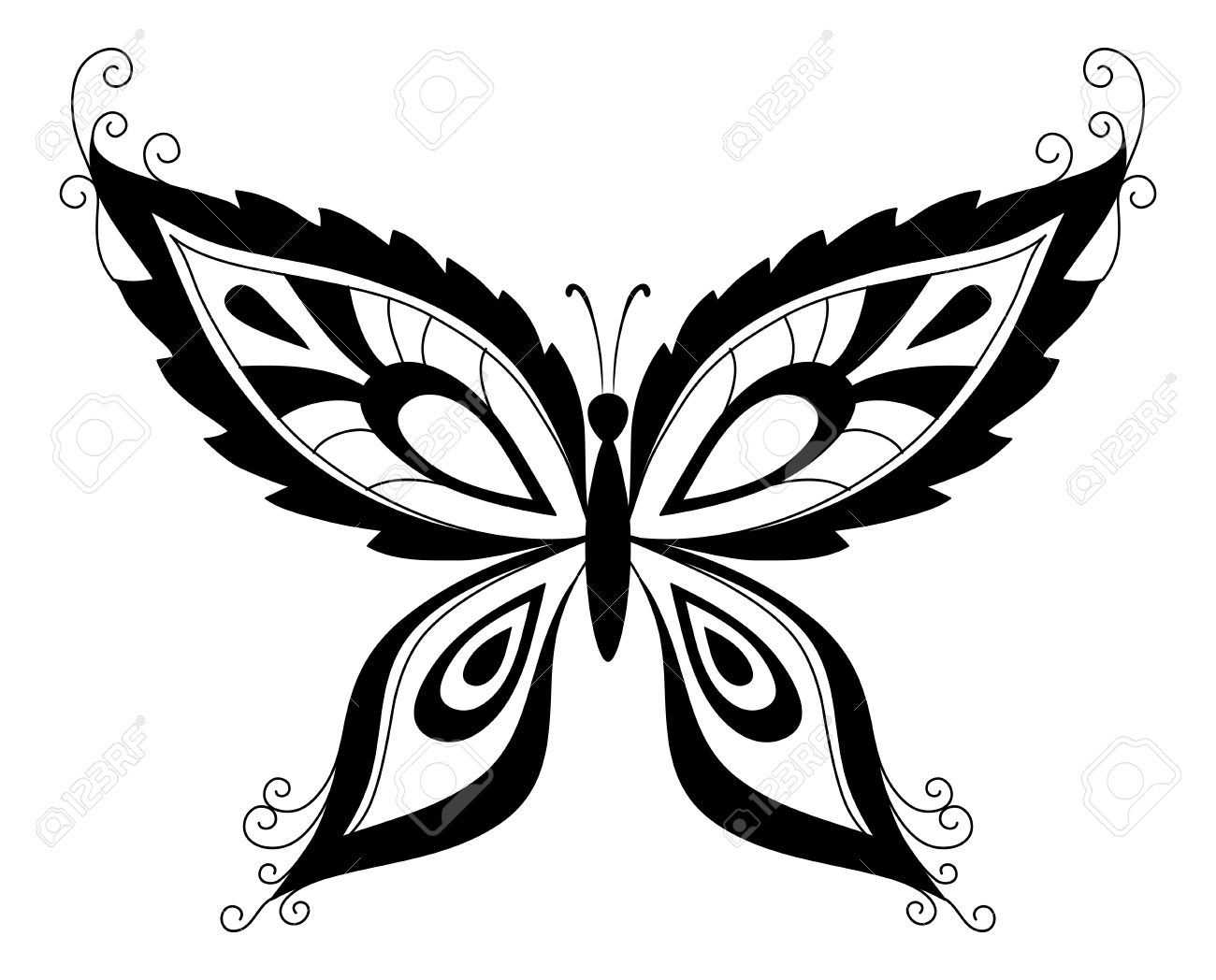 1300x1048 Abstract Butterfly, Black Contour Silhouettes On White Background