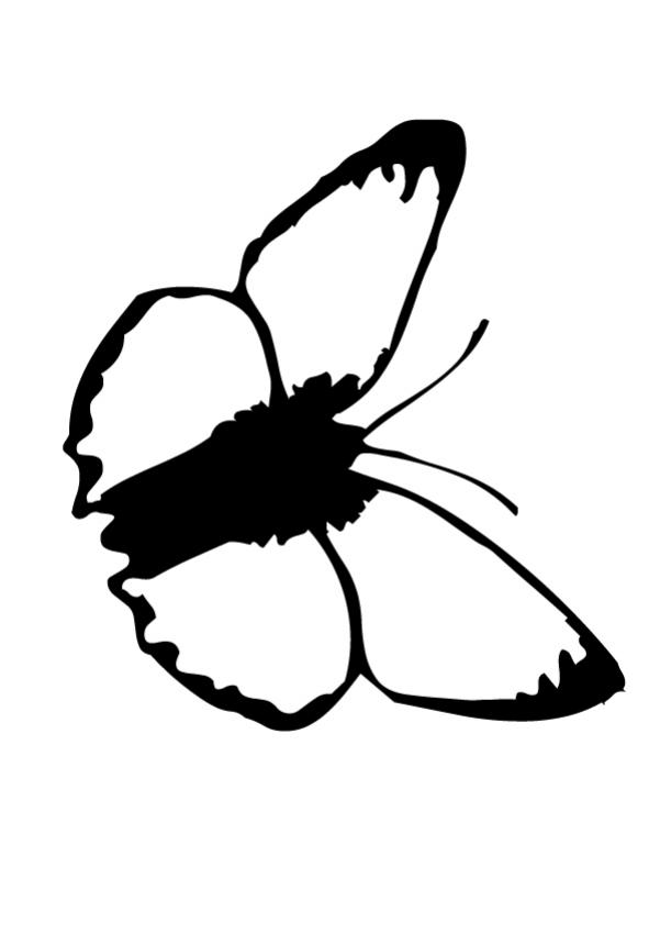 601x850 Black And White Butterfly Coloring Pages