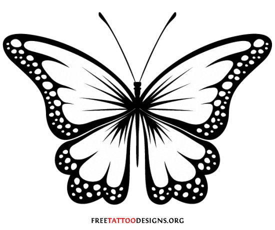 Butterfly Images Clipart