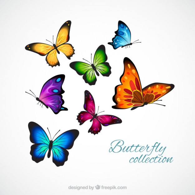 626x626 Butterfly Vectors, Photos And Psd Files Free Download