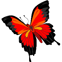 200x200 Download Butterfly Free Png Photo Images And Clipart Freepngimg