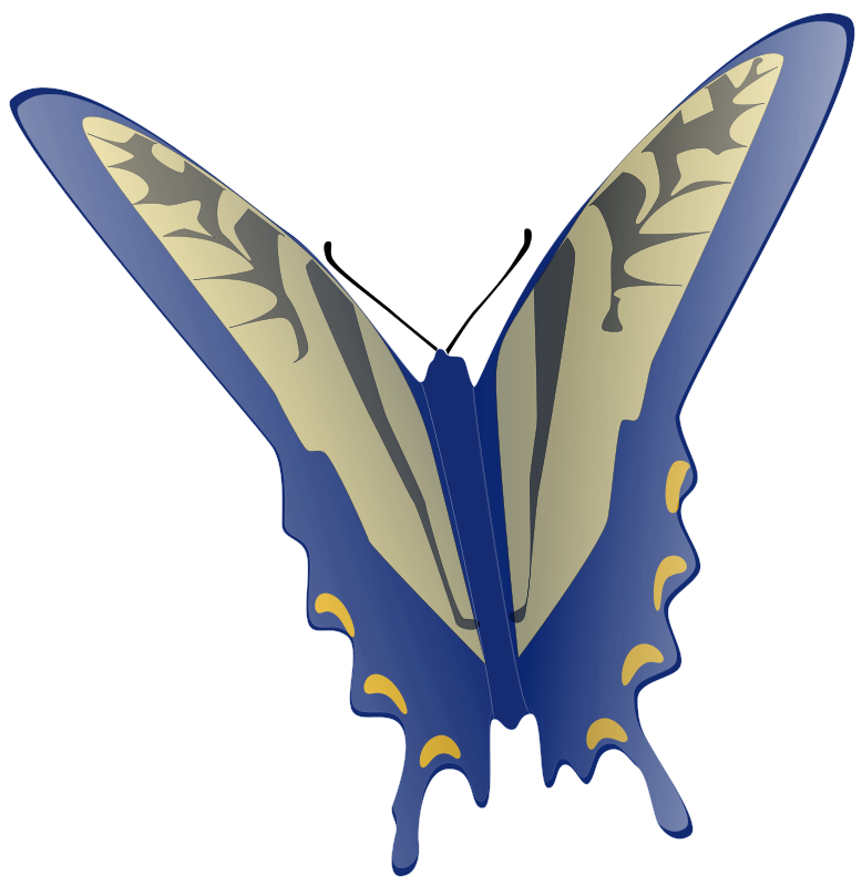 778x800 Free Clipart Butterfly Anonymous