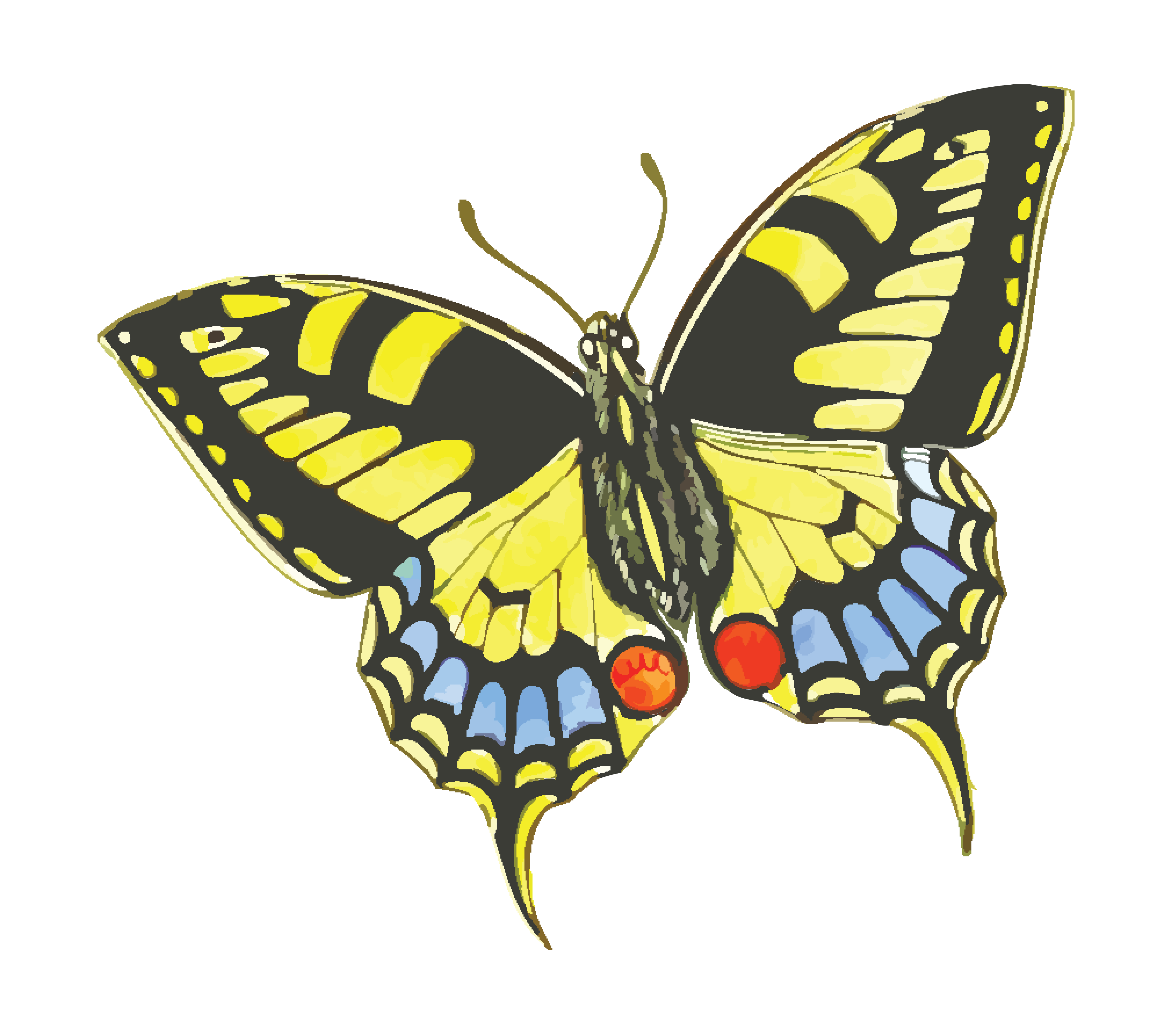 4000x3537 Free Clipart Of A Butterfly