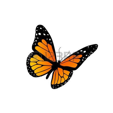 450x450 5,542 Monarch Butterfly Stock Vector Illustration And Royalty Free