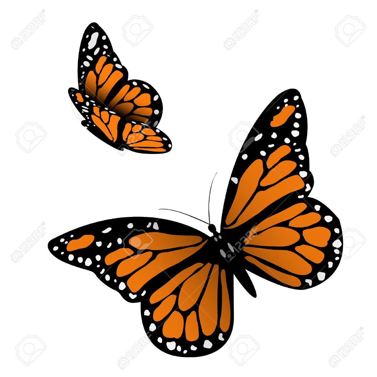 1300x1300 Monarch Butterfly Clipart