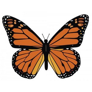 300x300 Monarch Butterfly Vector