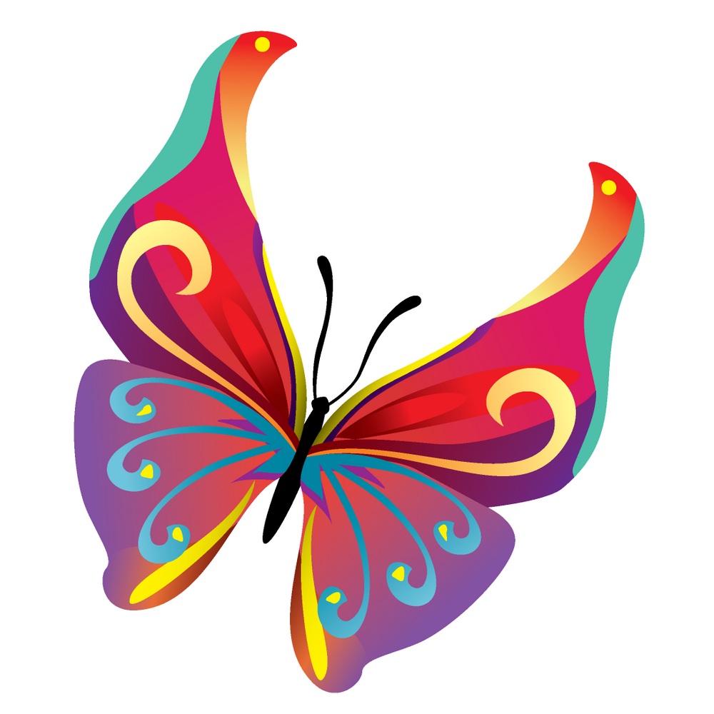 1000x1000 Butterfly Vector Free