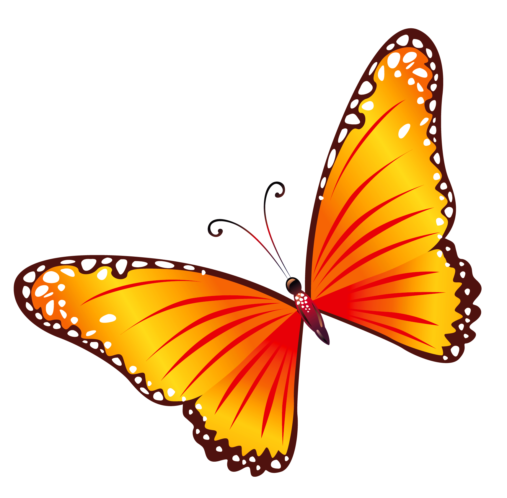 1717x1686 Common Beliefs And Symbolism Associated With Butterfly Png All
