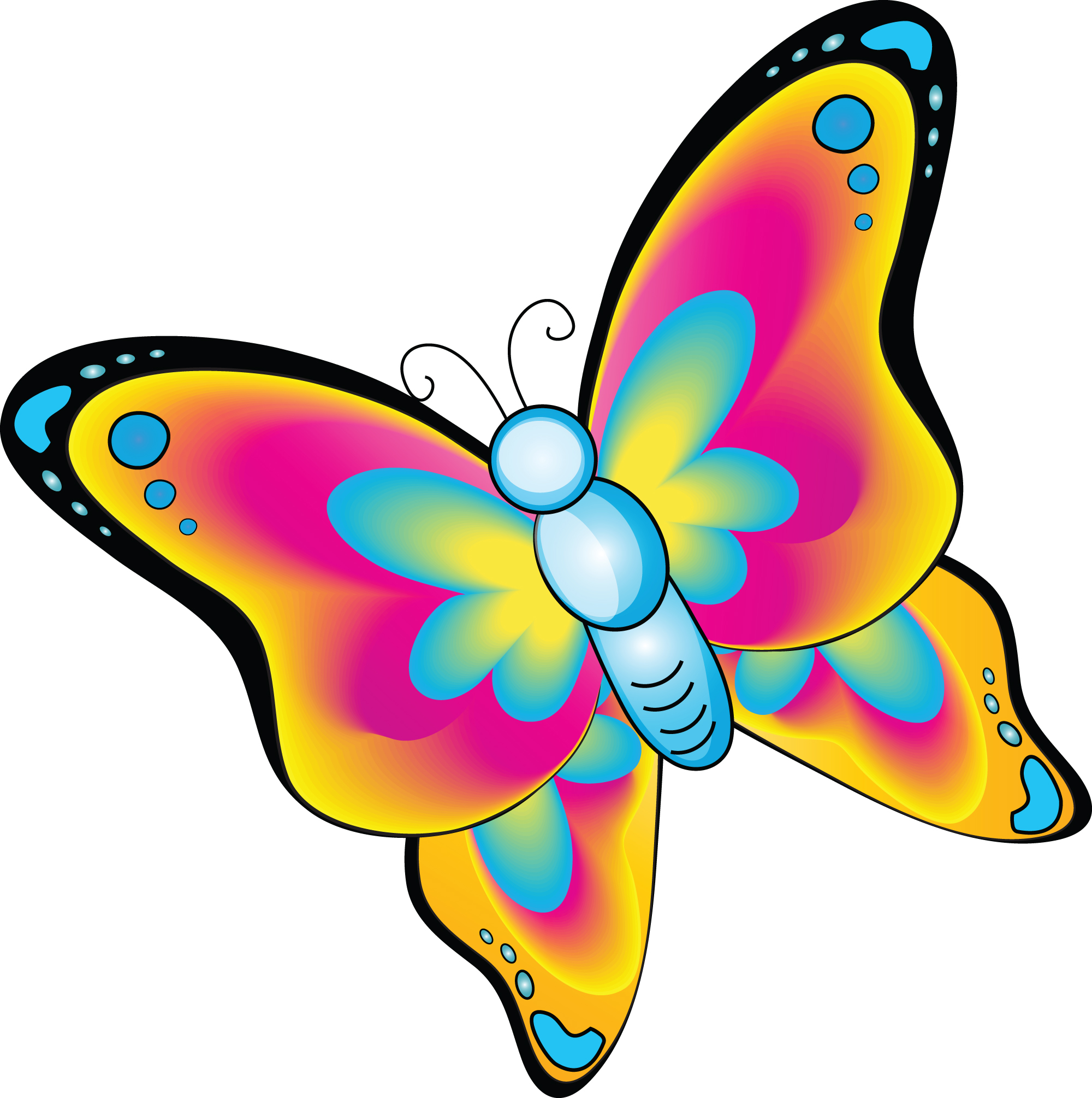 2000x2009 Animal Butterfly Cliparts 172529