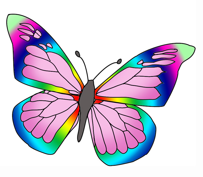 787x685 Butterfly Clipart Pretty Butterfly