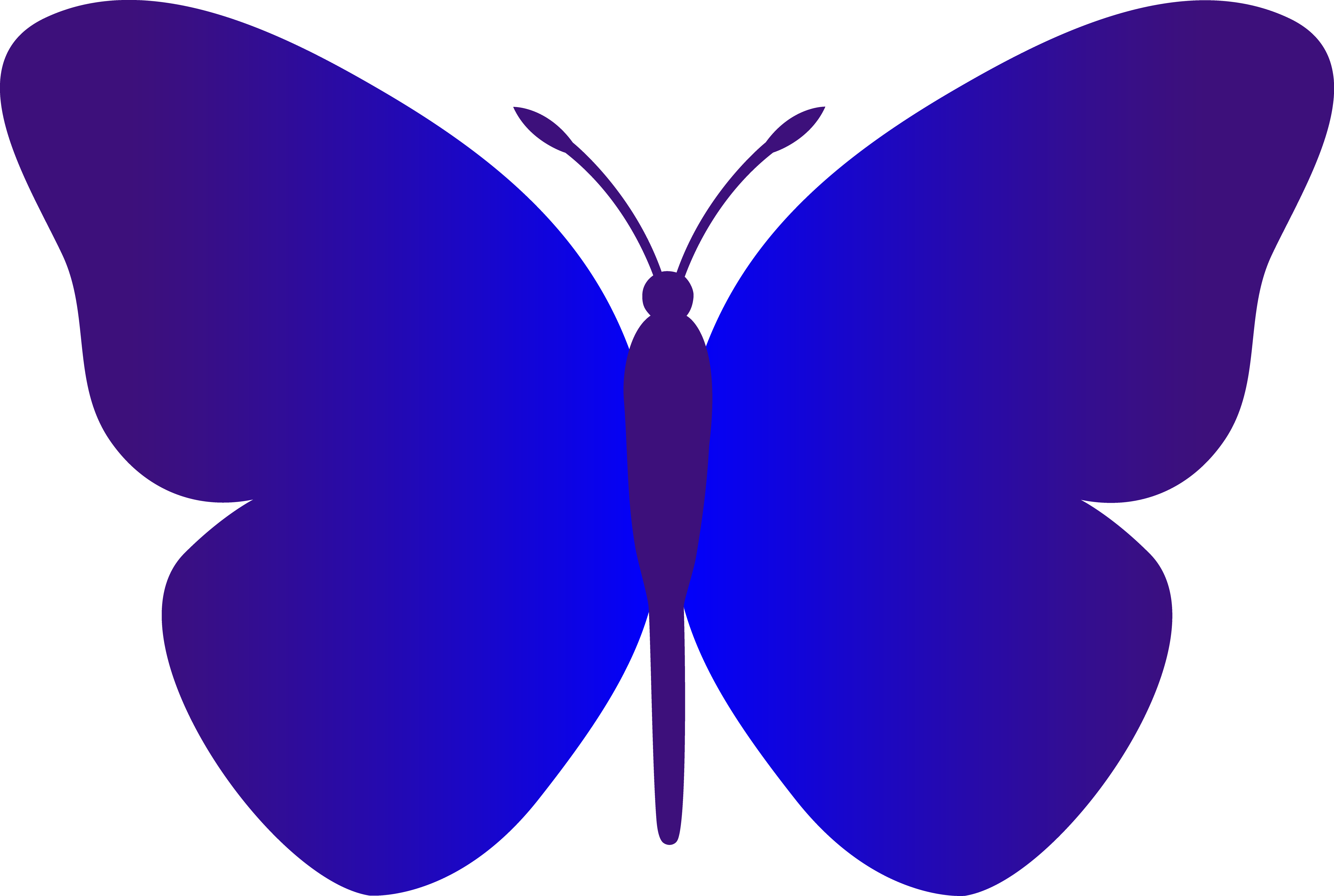 5381x3614 Butterfly Pictures Free