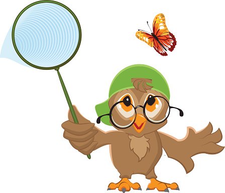 448x384 Owl Catches Bird And Butterfly Net Premium Clipart