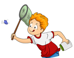 305x240 Search Photos Butterfly Net