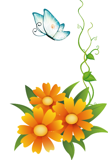 347x514 Color Clipart Flower Butterfly