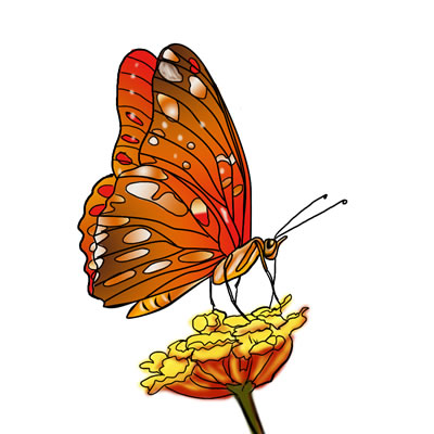 400x400 Top 83 Butterfly Clip Art