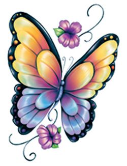 250x326 98 Best Butterflies Clip Art Images Caterpillar