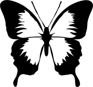 300x280 Butterfly Outline Clipart