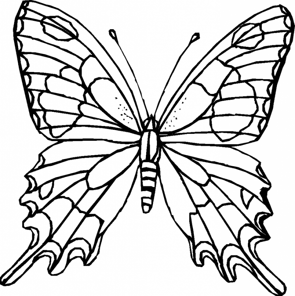1021x1024 Butterfly Outline Drawing Butterfly Outline Clipart Clipart Panda