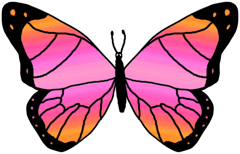 821x527 Clipart Butterfly Outline Free Clipart Images