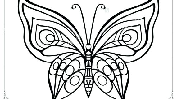570x320 Butterfly Outline Images