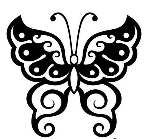 500x465 Best Butterfly Outline