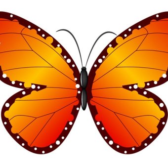 Butterfly Outline Clipart | Free download on ClipArtMag