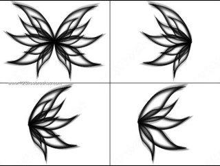 320x242 Butterfly Outline 431 Photoshop Free Brushes Download