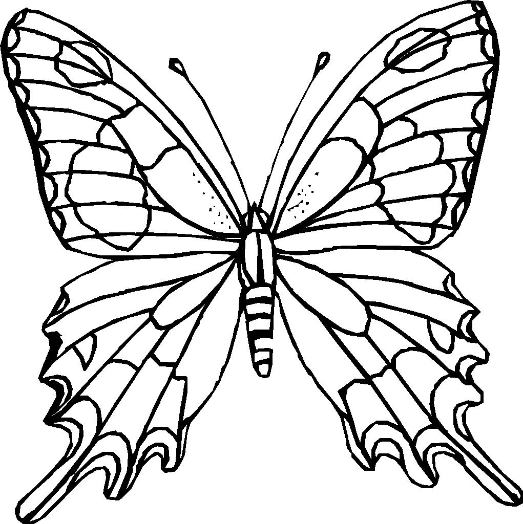 1021x1024 Outline Drawing Of Butterfly Butterfly Net Drawing Clipart Panda