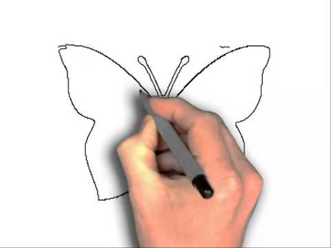 480x360 How To Draw Butterfly Outline