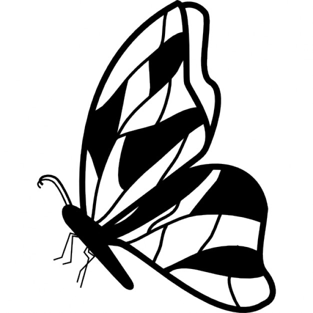 626x626 Side Profile Butterfly Clipart Outline