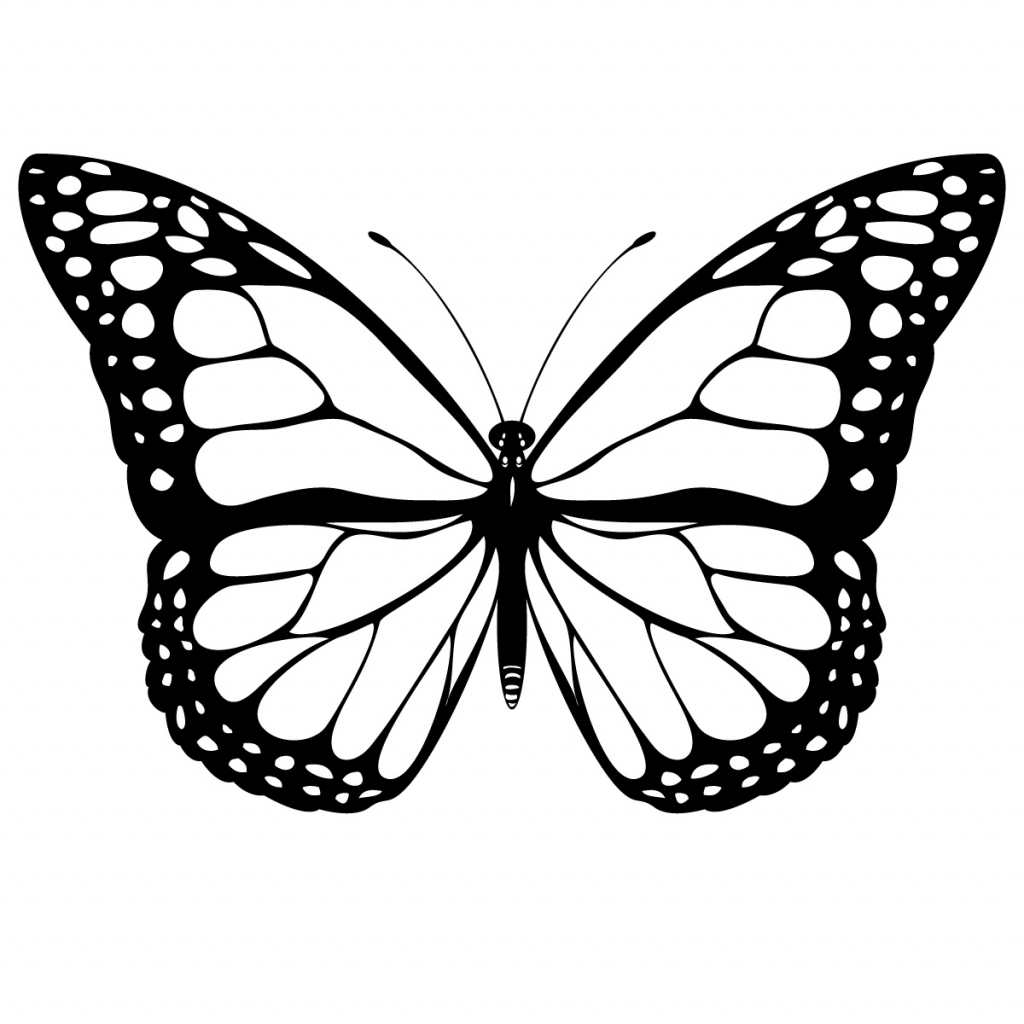 1024x1024 Butterfly Outline Drawing 1000 Images About Zentangle Outlines