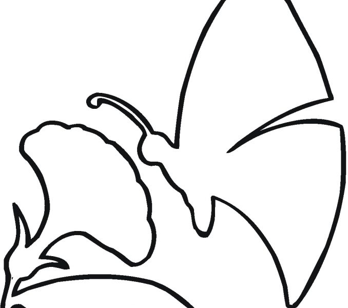 678x600 Outline Of Butterfly For Colouring Kids Coloring