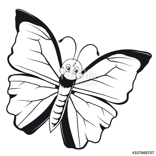 500x500 Beautiful Butterfly Outlines Schmetterling Ausmalbild Stock Image