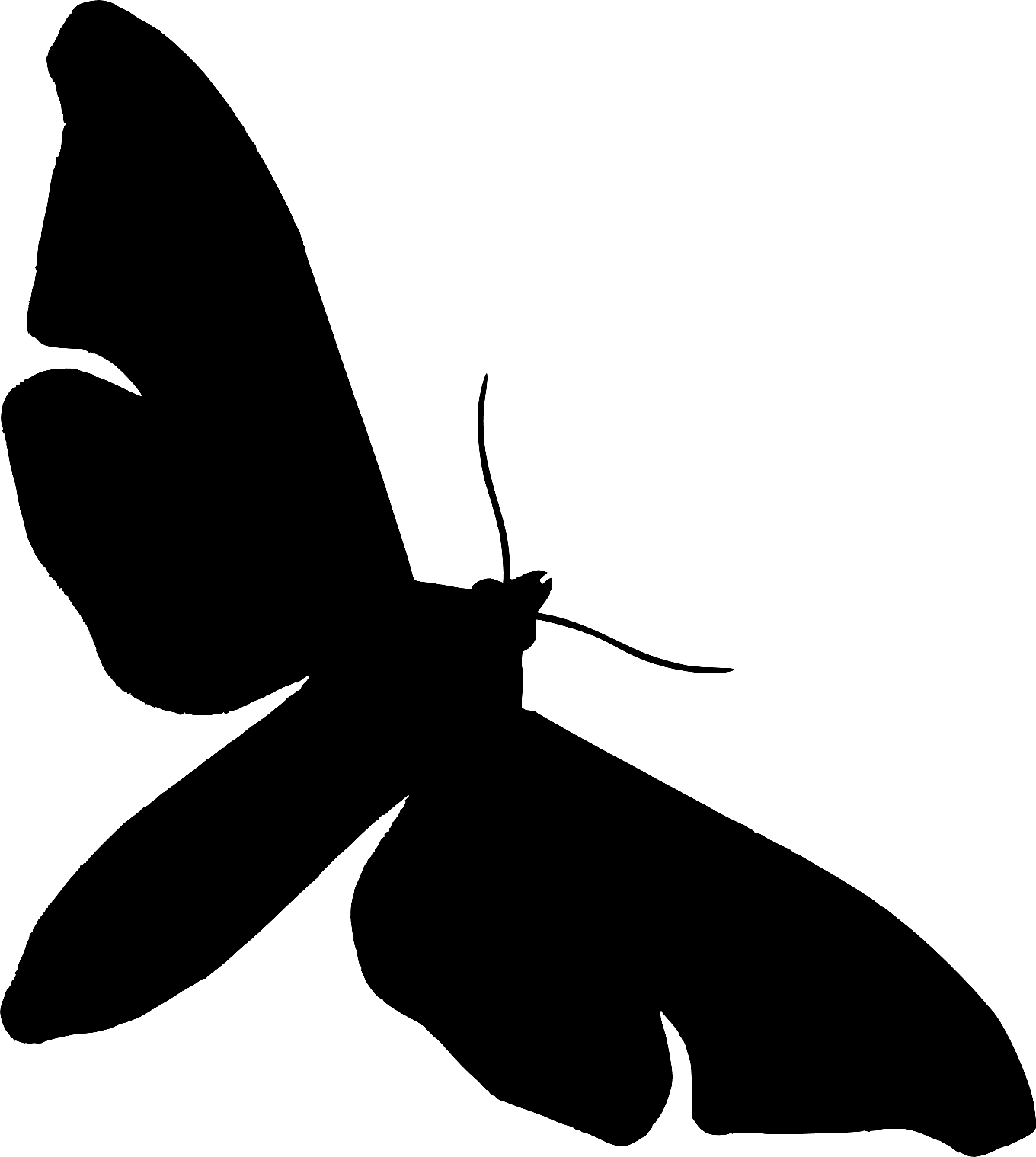 1360x1519 Moth Clipart Silhouette