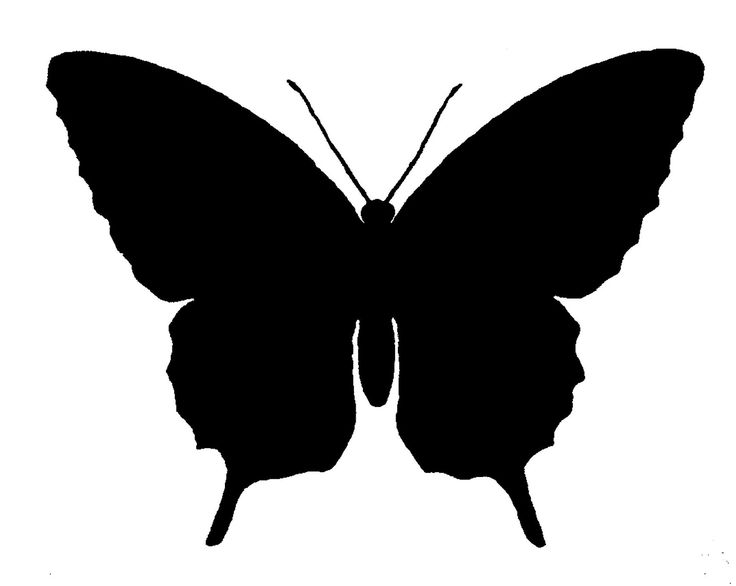 Butterfly Silhouette Clipart | Free download on ClipArtMag