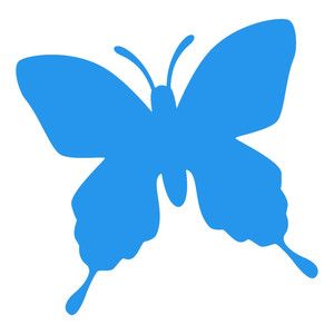 300x300 69 Best Vlinders Images Butterflies, Butterfly